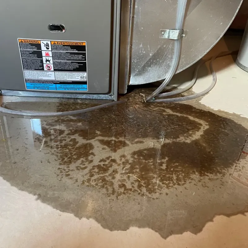 Appliance Leak Cleanup in Pulaski County, AR